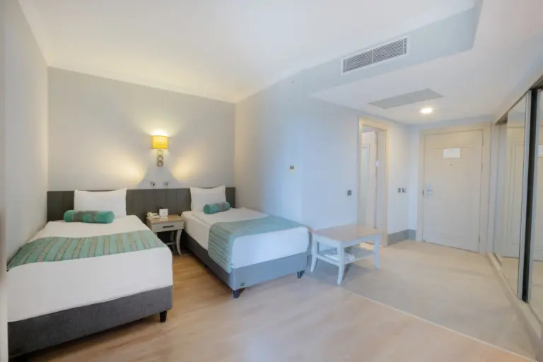 Aile Odası - Kara Manzara